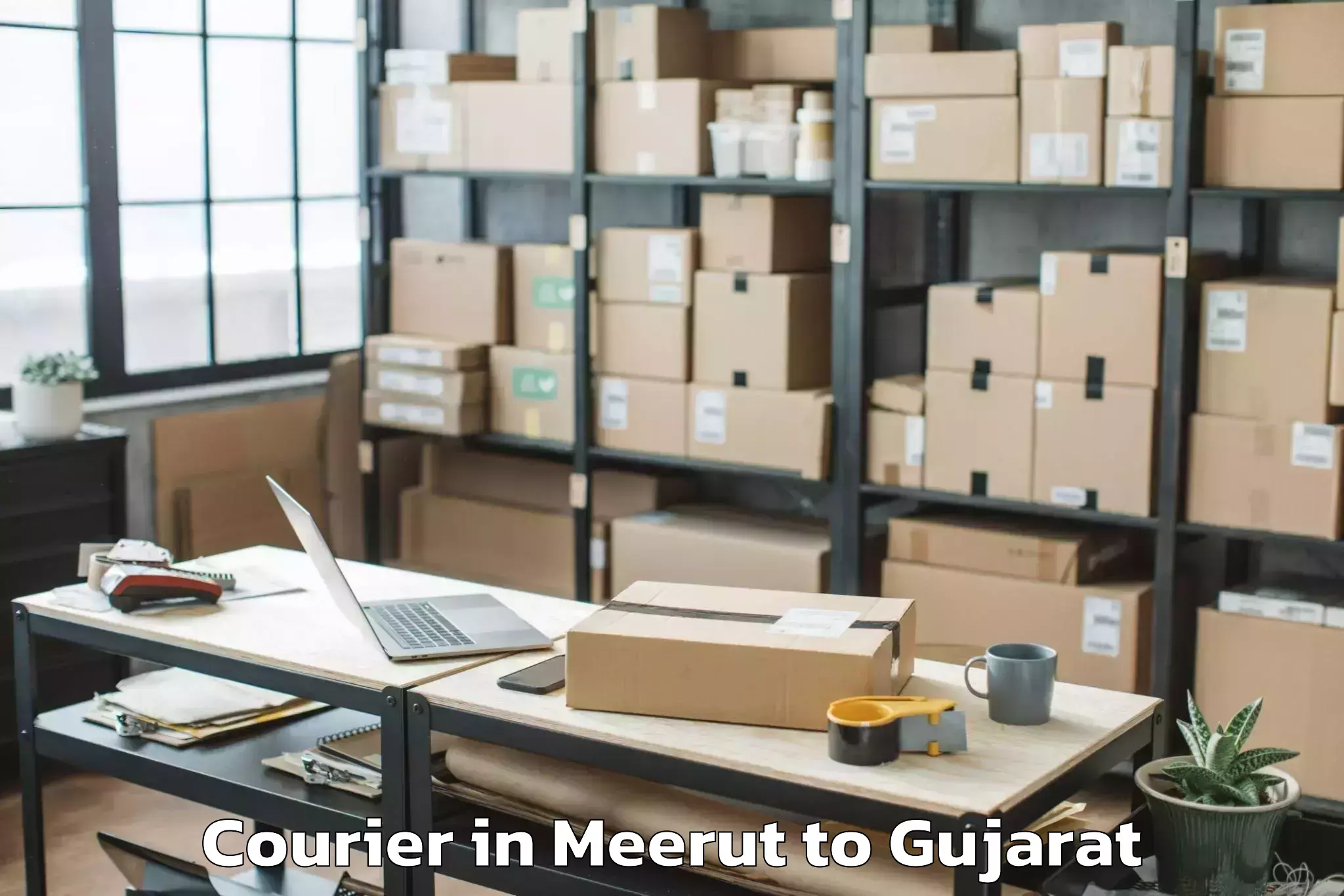 Book Meerut to Kavant Courier Online